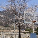 엉클캠프 이미지