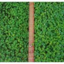 대인부동산중개사무소 이미지