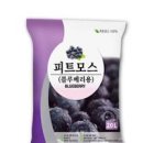 블루베리 묘목재배 제대로 키우기 - 블루베리 전용흙 피트모스 산도는? 이미지