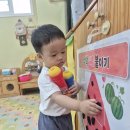 7월2주) 빌리보를 건너요 + 수박씨 붙이기 + 휴지심 까꿍놀이 + 영양교육 이미지