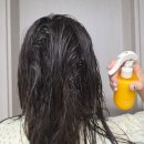 워시비 | 헤어 에센스 스프레이 추천 노워시 트리트먼트 손상모케어 블라세아 비베사 후기