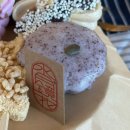 바다찻집 | 송정 오션뷰 카페 바다 바로 앞 찻집 수월경화 방문 후기