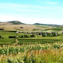 태암농장 이미지