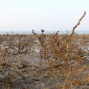 서부면 죽도마을회관 이미지