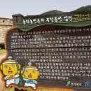 무장농장 티스토리