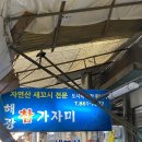 해광참가자미
