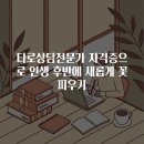 타로 마음치료 과정 (기초 & 자격증) (저녁) | 타로상담전문가 자격증으로 인생 후반에 새롭게 꽃피우기