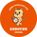 고양이 미용 가격 만족도 높은 &#39;골골탬버린클럽&#39; 크루엘라 후기