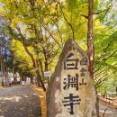 시례호박소 이미지