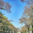 이마트24 경주교촌점