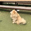 소나무펜션 이미지