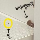 자바드림 이미지