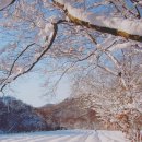 뭉치네 민박 이미지