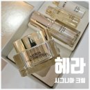 헤라뷰티 - 경주시 비화동길 9-16 | 헤라 시그니아 크림 후기｜피부 컨디션이 달라지는 럭셔리 안티에이징 크림 추천