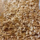 씨엔에스팜 이미지