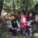 강남유치원 이미지