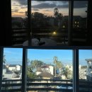 애월고등학교 | 제주 애월 가성비 오션뷰 펜션 숙소 애견동반가능 애월더펜션 방문후기