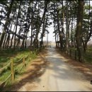 해전농장 이미지