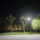 도심 - 공간 | 천안 삼거리공원 리뉴얼 방문 후기🌳 도심 속 힐링공간