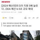 [2024 예산안]우크라 지원 5배 늘린다…ODA 예산 6.5조 규모 확대 이미지