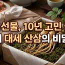 캐어플러스 | 설날 선물, 아직도 고민만 10년째였다면.. 올해 대세인 설 선물세트, 왜 이렇게 사랑받는 이유는?