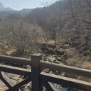 형제봉_숲길(등산)2코스 | ⛰️ [북한산] 친구들과 함께한 형제봉 등산 후기 | 서울 근교 힐링 산행!