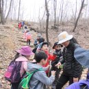 토요숲속자연학교 도토리반 3월30일 - 생강꽃차에서는 꿀냄새가~ 이미지