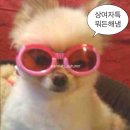 춘천 스카이컨벤션 본식 종합 후기(세인트홀, 스드메, 스냅, DVD, 메이스튜디오)