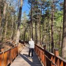 태조산주유소 이미지