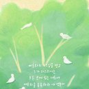[컬럼] 모든 것을 합력하여 선을 이루시는 하나님 이미지