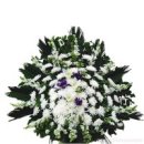 면목동-063 이미지