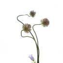 동양꽃꽂이 이미지