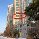 강남행복동물약국 이미지