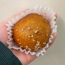 민양길 | 통영 대박피싱, 감성돔 마릿수 타작을 위한 3번의 출조(욕지도,이끼섬,사량도)