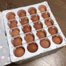 바른농장계란 이미지