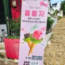 꽃봉자 이미지