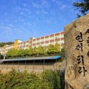 조선대학교 임상약학대학원 이미지