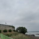 포돌이로 77 | 6월 여행 / 친구들과 강화도 1박 2일 / 카페가고 바베큐 하고 수다 떨기🤭