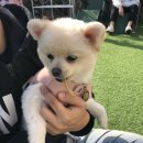 여기서 놀개 이미지