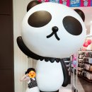 곰돌이키즈치과의원 이미지