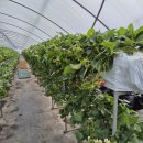 대절농장 이미지