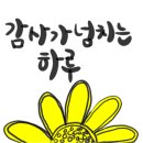 철이네농장 이미지