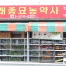 태권브이주유소 이미지