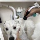 GOODPY(굿피) 이미지