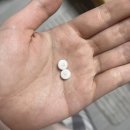 임신 초기 7주~9주 변화, 임산부 입덧약 복용 후기와 멘탈관리법