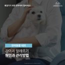 금릉동물의료센터