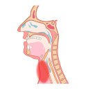 브니엘요양병원 이미지