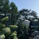 아리스타공인중개사사무소 이미지