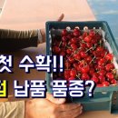 덕화농원