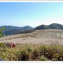 민둥산축산